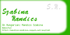 szabina mandics business card